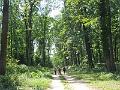 DSCF0634