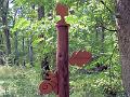 DSCF0635