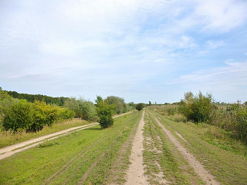 P1120366.JPG