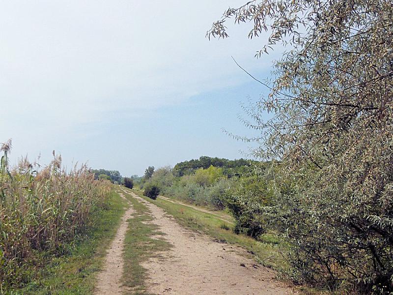 P1120377.JPG