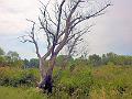 P1120381