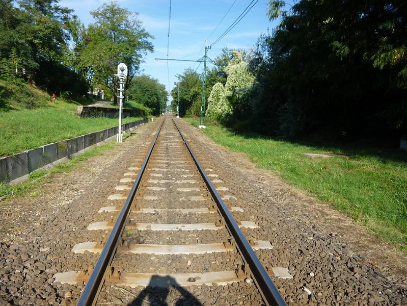 P1120425.JPG