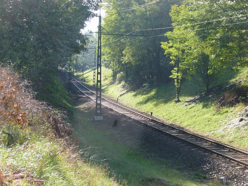 P1120426.JPG