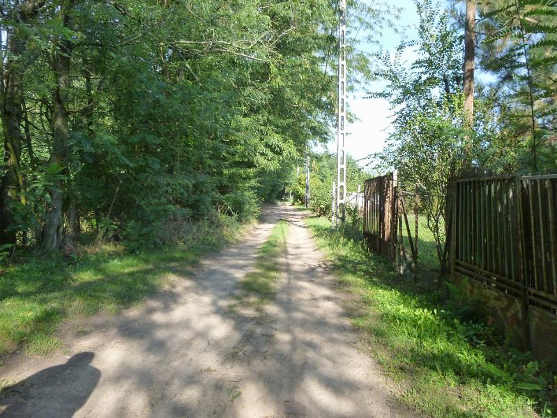 P1120430.JPG