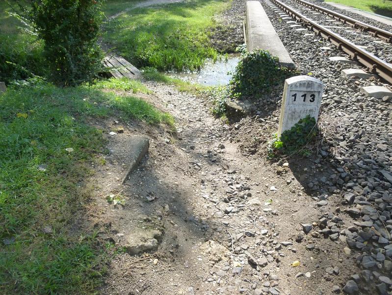 P1120431.JPG