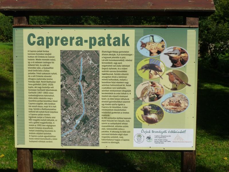 P1120439.JPG