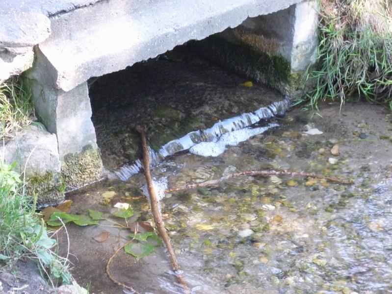 P1120441.JPG