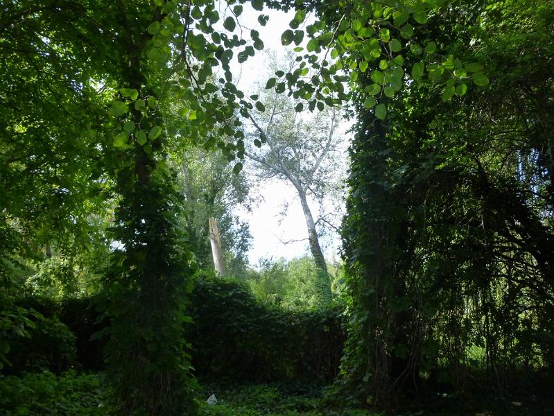 P1120454.JPG