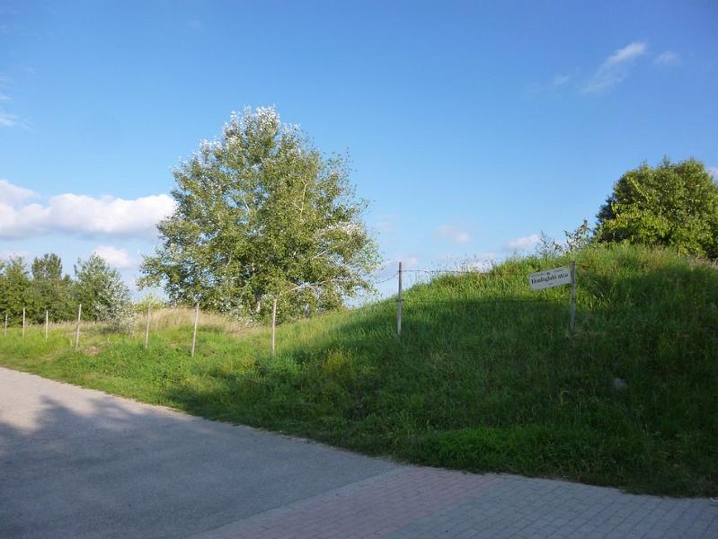 P1120654.JPG