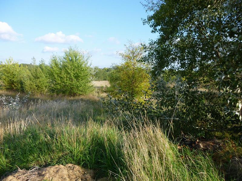 P1120655.JPG
