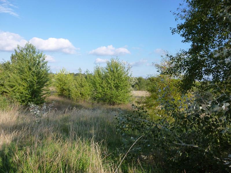 P1120656.JPG