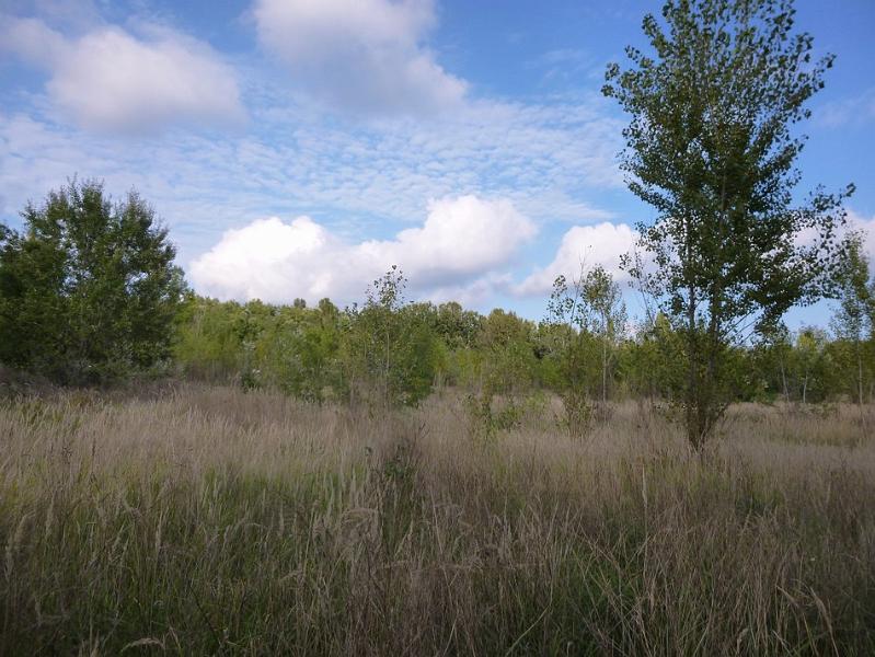 P1120659.JPG
