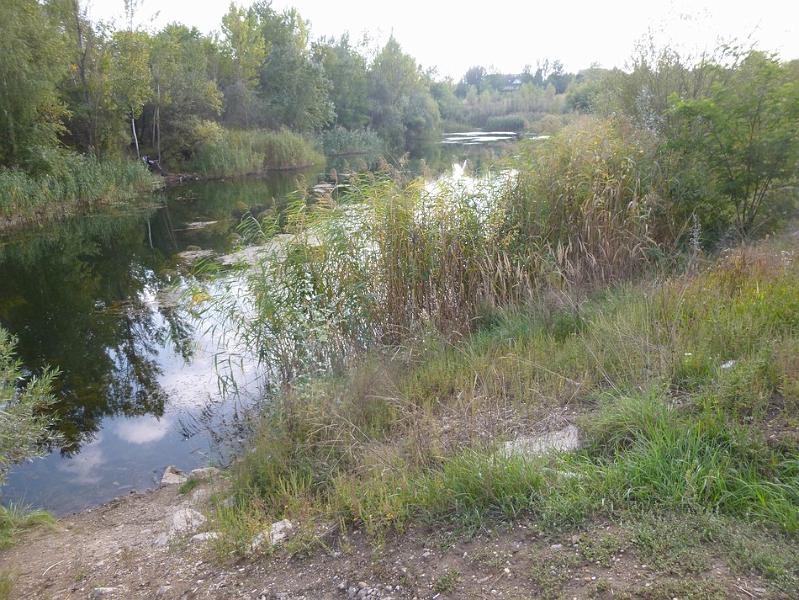 P1120661.JPG