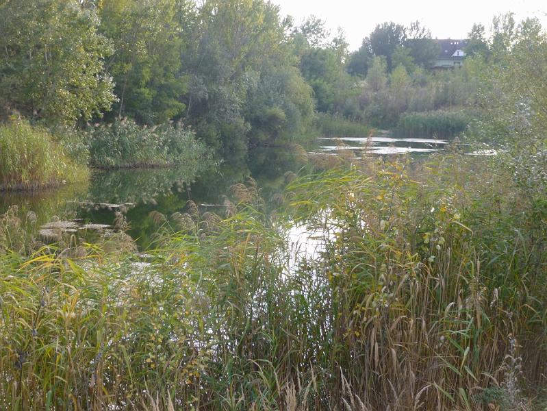 P1120662.JPG