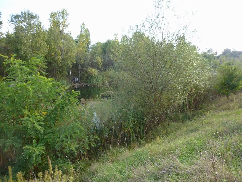 P1120664.JPG