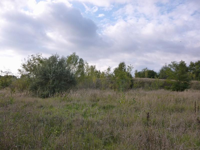 P1120667.JPG
