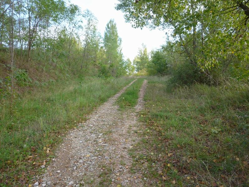 P1120668.JPG