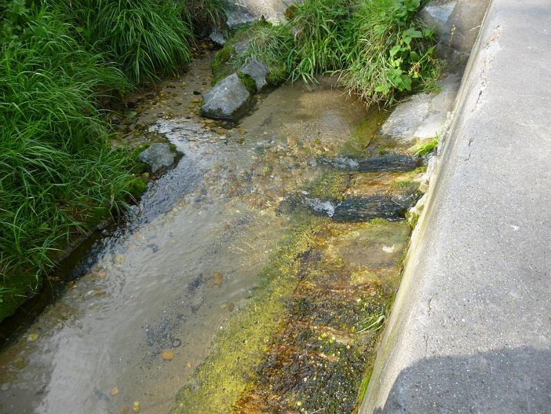 P1120673.JPG