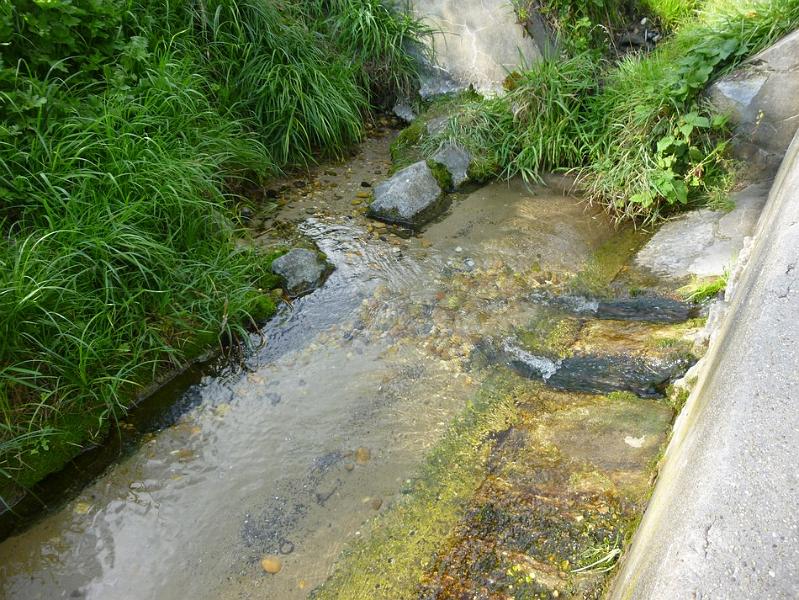 P1120674.JPG