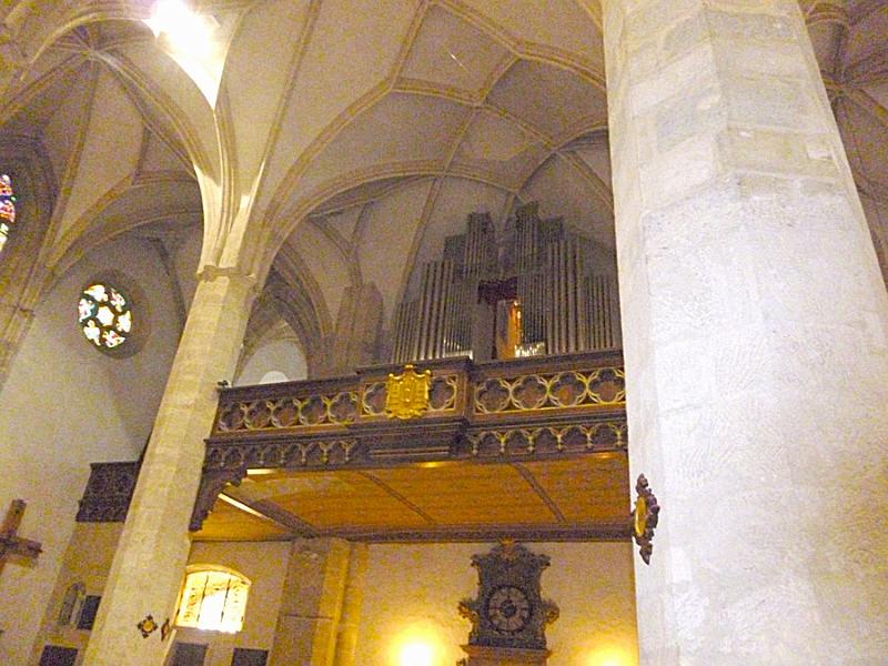 P1120557.JPG