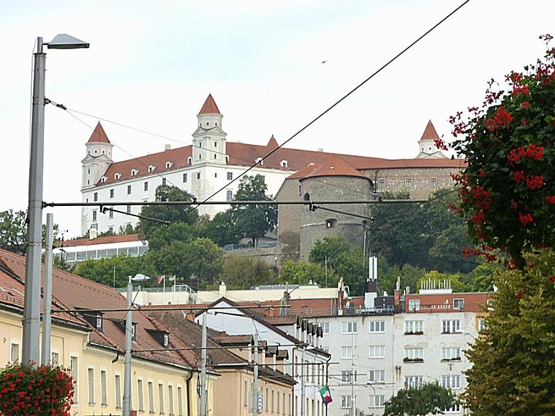 P1120568.JPG