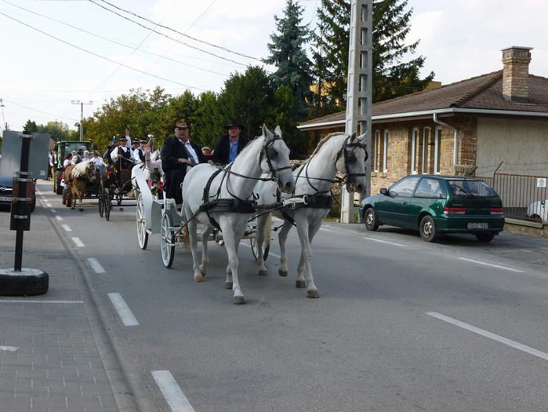 P1120743.JPG