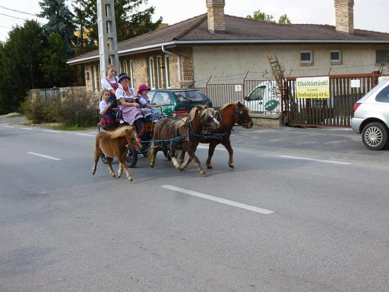 P1120749.JPG