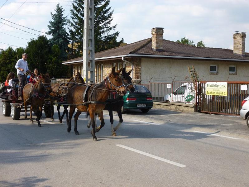 P1120754.JPG