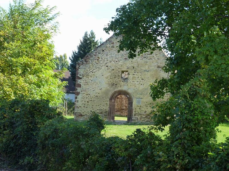 P1120774.JPG