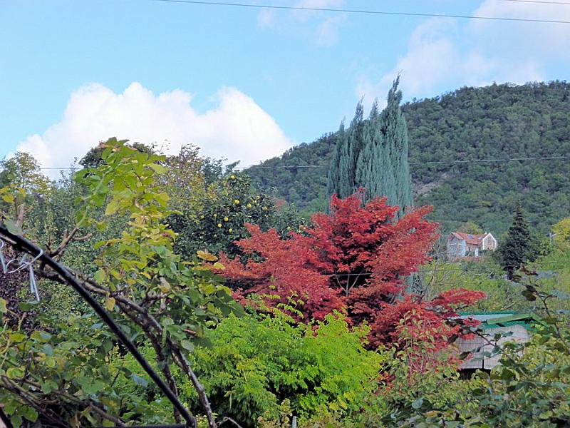P1120777.JPG