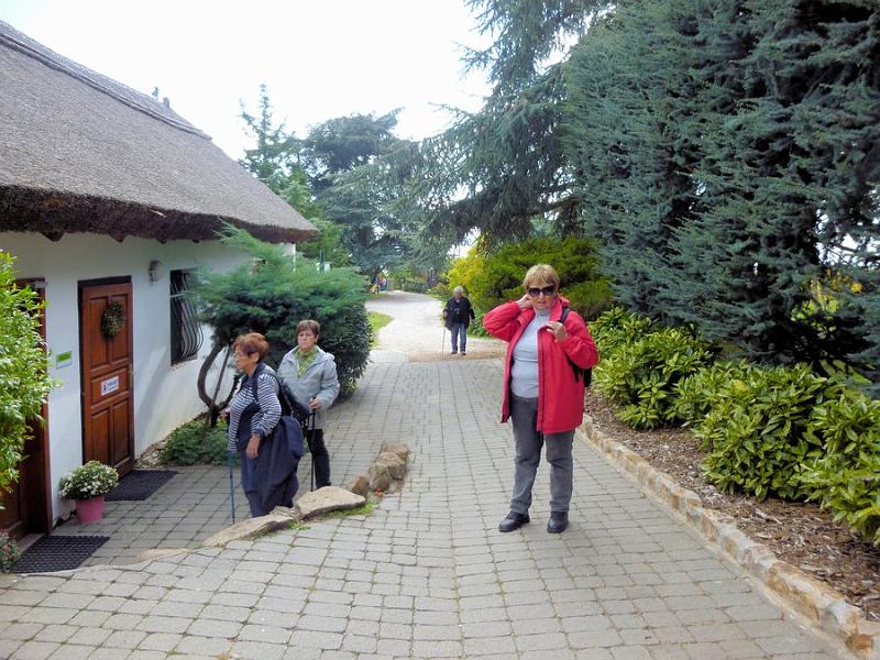 P1120796.JPG