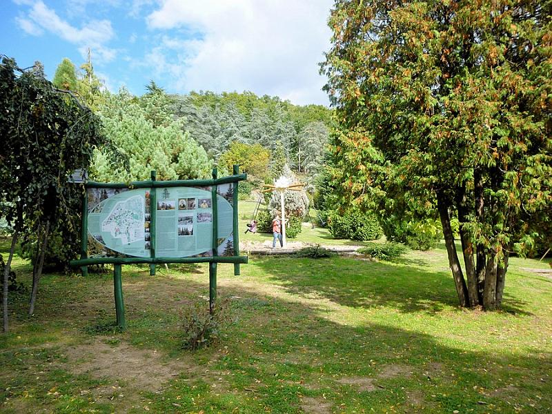 P1120799.JPG