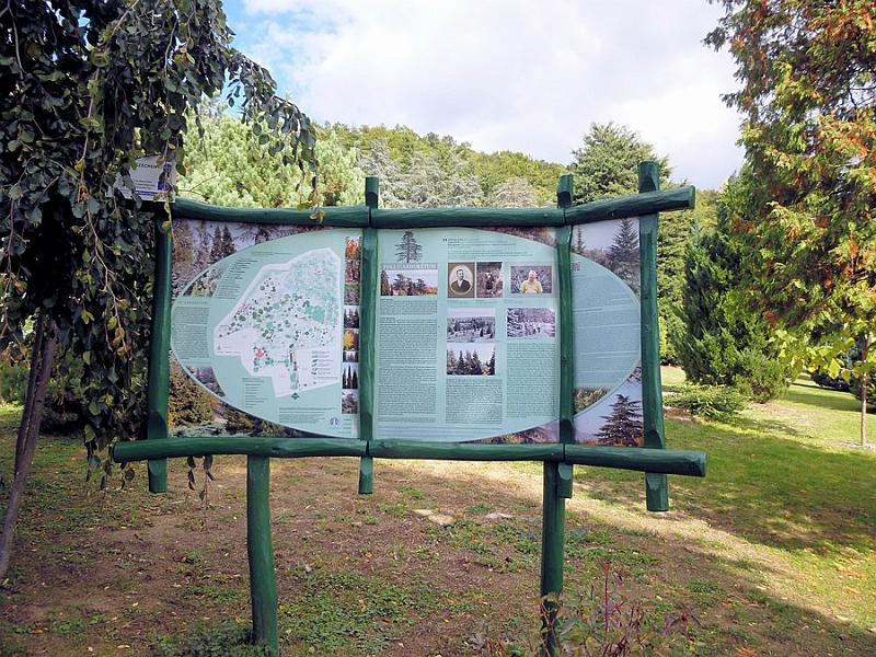 P1120800.JPG