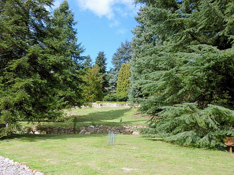 P1120805.JPG