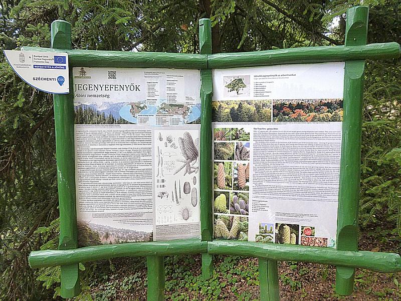 P1120811.JPG