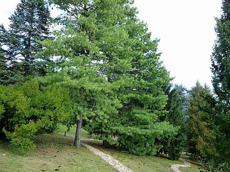 P1120833.JPG