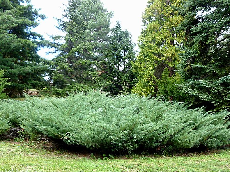P1120834.JPG