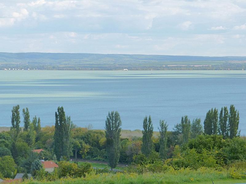 P1120841.JPG