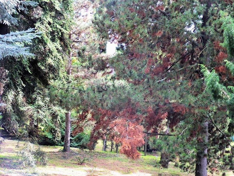 DSCF0723.JPG