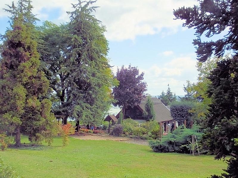 DSCF0725.JPG