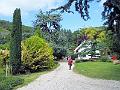 DSCF0709