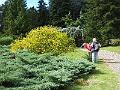 DSCF0712