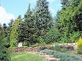 DSCF0713