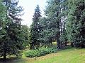 DSCF0715