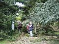 DSCF0716