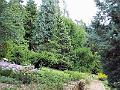 DSCF0717