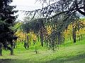 DSCF0718