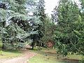 DSCF0719