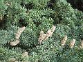 DSCF0721