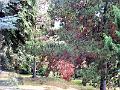 DSCF0723